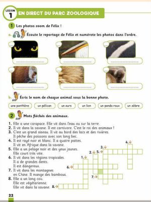 Робочий зошит ZigZag+ 3 Cahier d'activités
