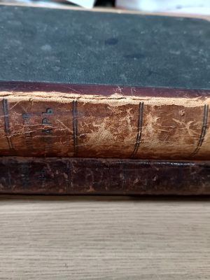 Книги Частина французько-російська і частина російсько - французька 1910 - 1911 рік.